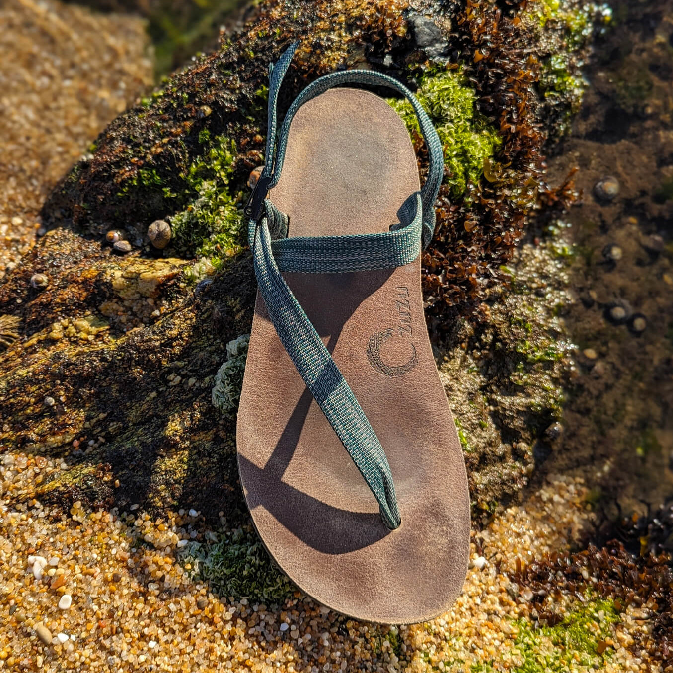 ZuZu_Groove_barefoot_sandal_featuring_a_vegan_leather_footbed_and_replaceable_recycled_Eucalyptus_straps_perfect_for_everyday_barefoot_living._On_a_mossy_rock_by_the_sea.