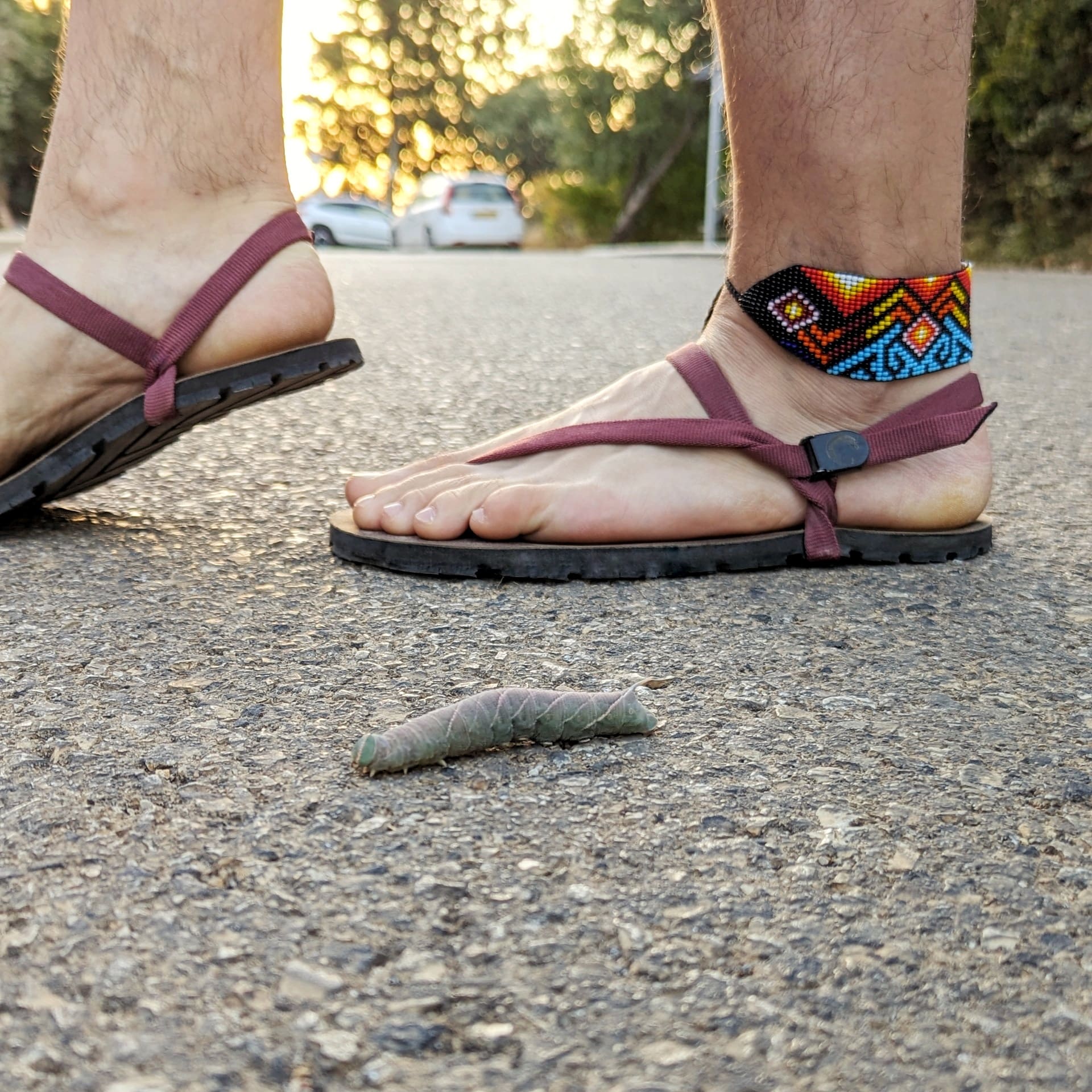 רצועות בורדו - ZuZu Sandals